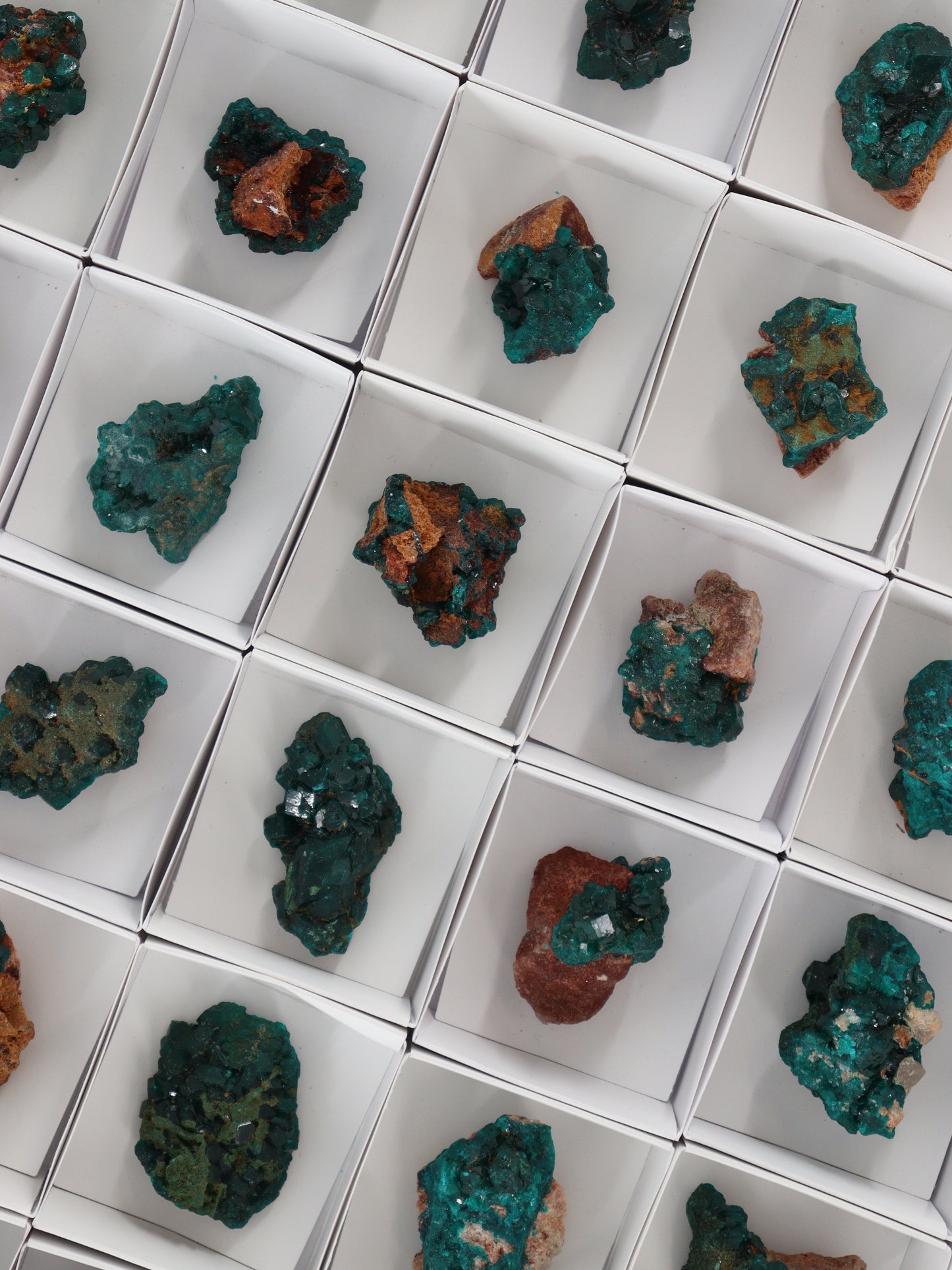 Dioptase Flat - Expert Wholesale and Supplier of Wholesale Crystals & Bulk Gemstones, []