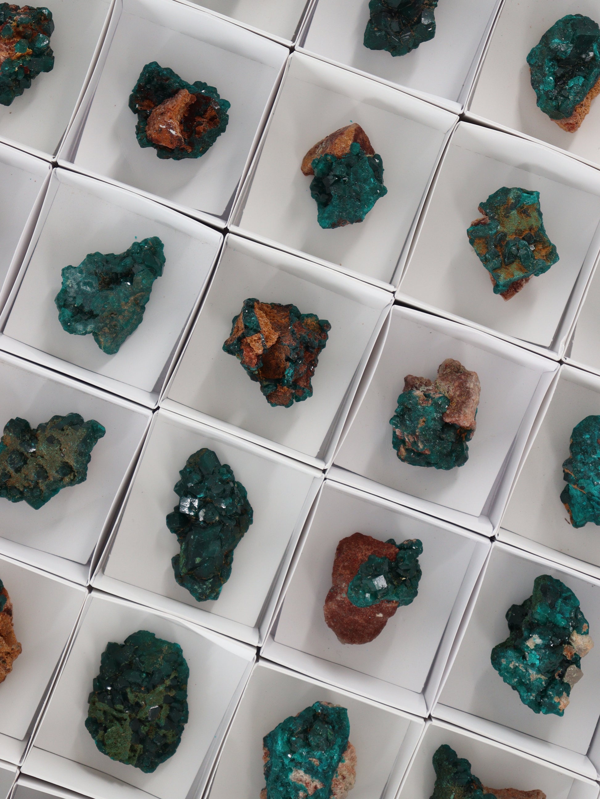 Dioptase Flat - Expert Wholesale and Supplier of Wholesale Crystals & Bulk Gemstones, []