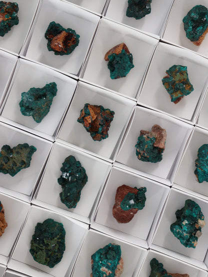Dioptase Flat - Expert Wholesale and Supplier of Wholesale Crystals & Bulk Gemstones, []