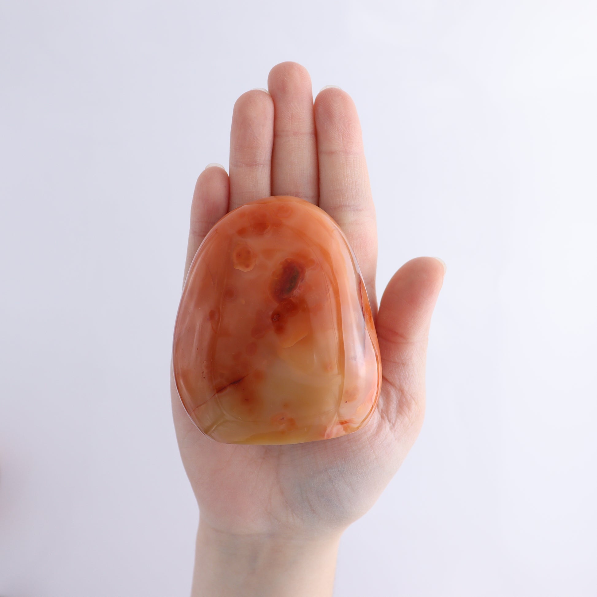 Carnelian Freeform Set of 11 - Expert Wholesale and Supplier of Wholesale Crystals & Bulk Gemstones, ["carnelian","Freeforms","Madagascar"]