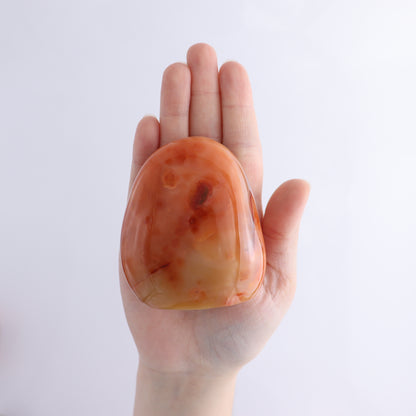 Carnelian Freeform Set of 11 - Expert Wholesale and Supplier of Wholesale Crystals & Bulk Gemstones, ["carnelian","Freeforms","Madagascar"]