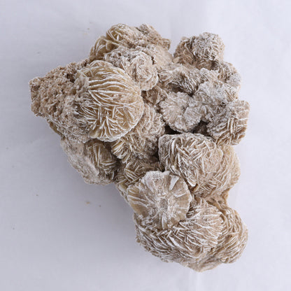 Desert Rose Cluster - Expert Wholesale and Supplier of Wholesale Crystals & Bulk Gemstones, ["Desert Rose","Freeforms"]