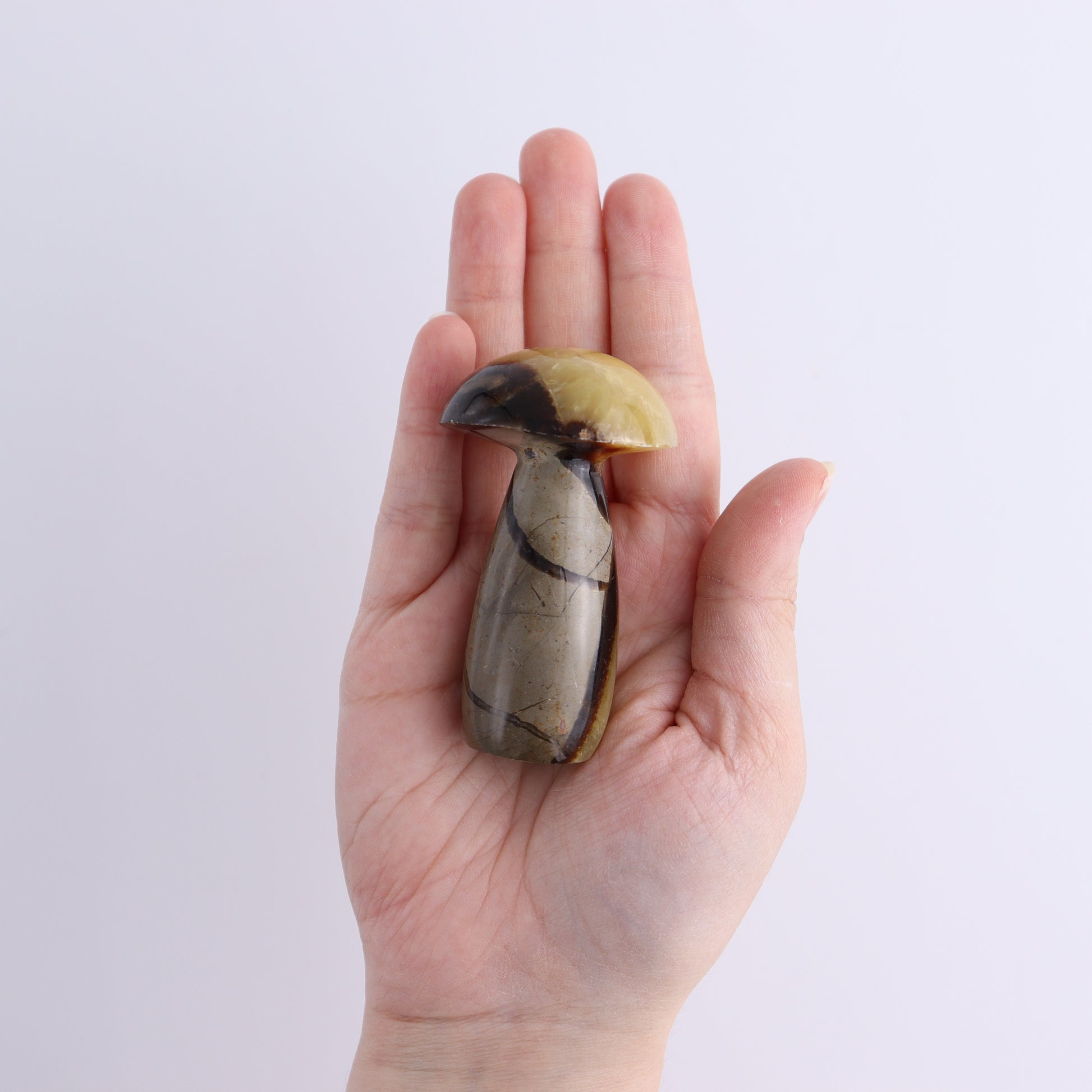 Septarian Mushrooms Set of 6 - Expert Wholesale and Supplier of Wholesale Crystals & Bulk Gemstones, ["Mushrooms","Septarian"]