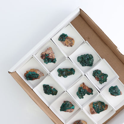 Dioptase Set of 12