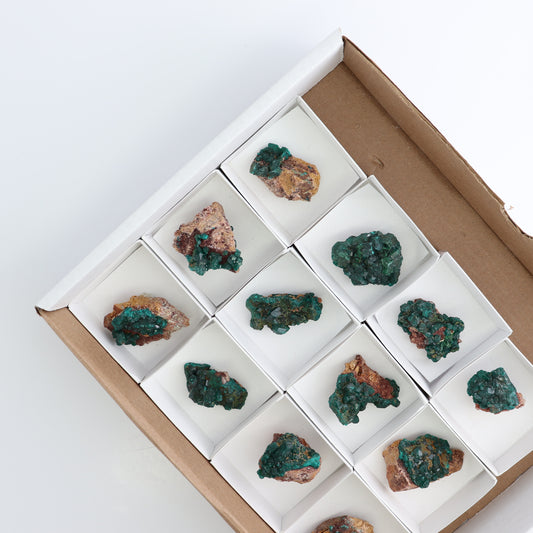 Dioptase Set of 12 - Expert Wholesale and Supplier of Wholesale Crystals & Bulk Gemstones, ["dioptase","Freeform","Freeforms"]