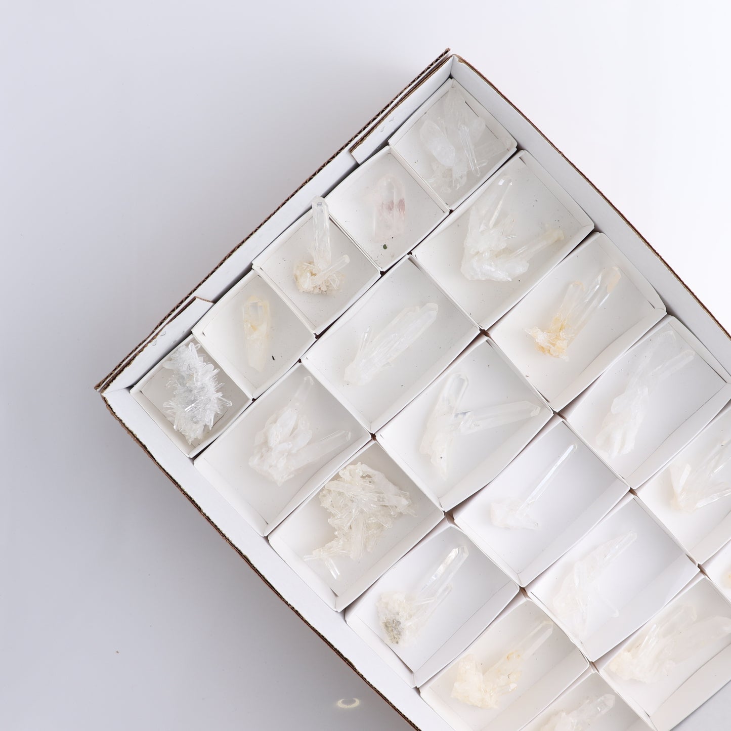 Lemurian Clusters from Columbia Set of 20