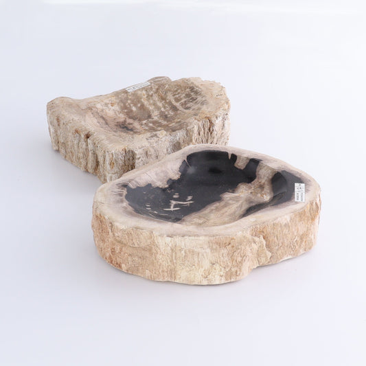 Petrified Wood Bowls Set of 2