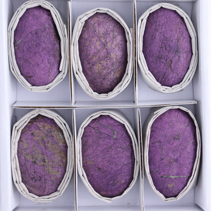Purpurite Freeforms Set of 12