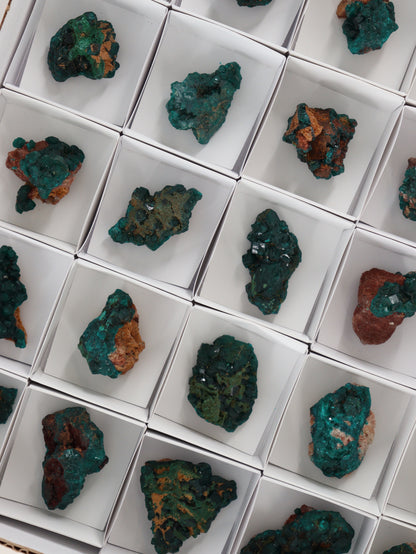 Dioptase Flat - Expert Wholesale and Supplier of Wholesale Crystals & Bulk Gemstones, []
