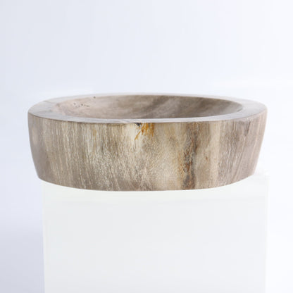 One Petrified Wood Beige Polished Bowl