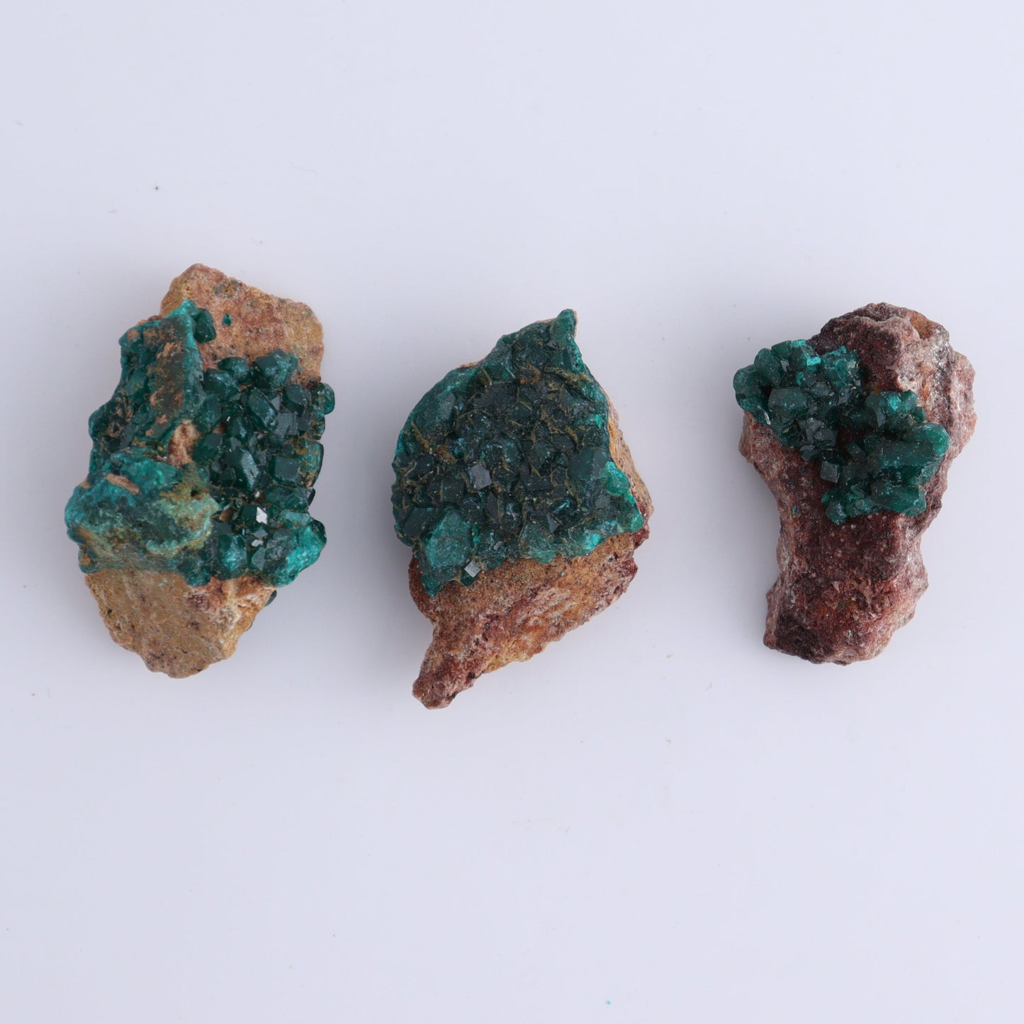 Dioptase Set of 12 - Expert Wholesale and Supplier of Wholesale Crystals & Bulk Gemstones, ["dioptase","Freeform","Freeforms"]