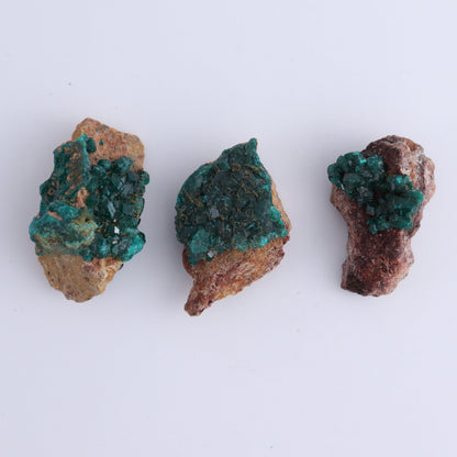 Dioptase Set of 12 - Expert Wholesale and Supplier of Wholesale Crystals & Bulk Gemstones, ["dioptase","Freeform","Freeforms"]