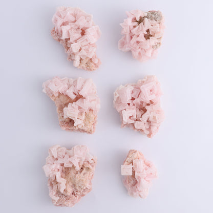 Searles Lake Halite Flat of 6 - Expert Wholesale and Supplier of Wholesale Crystals & Bulk Gemstones, ["Flats","Halite","United States"]