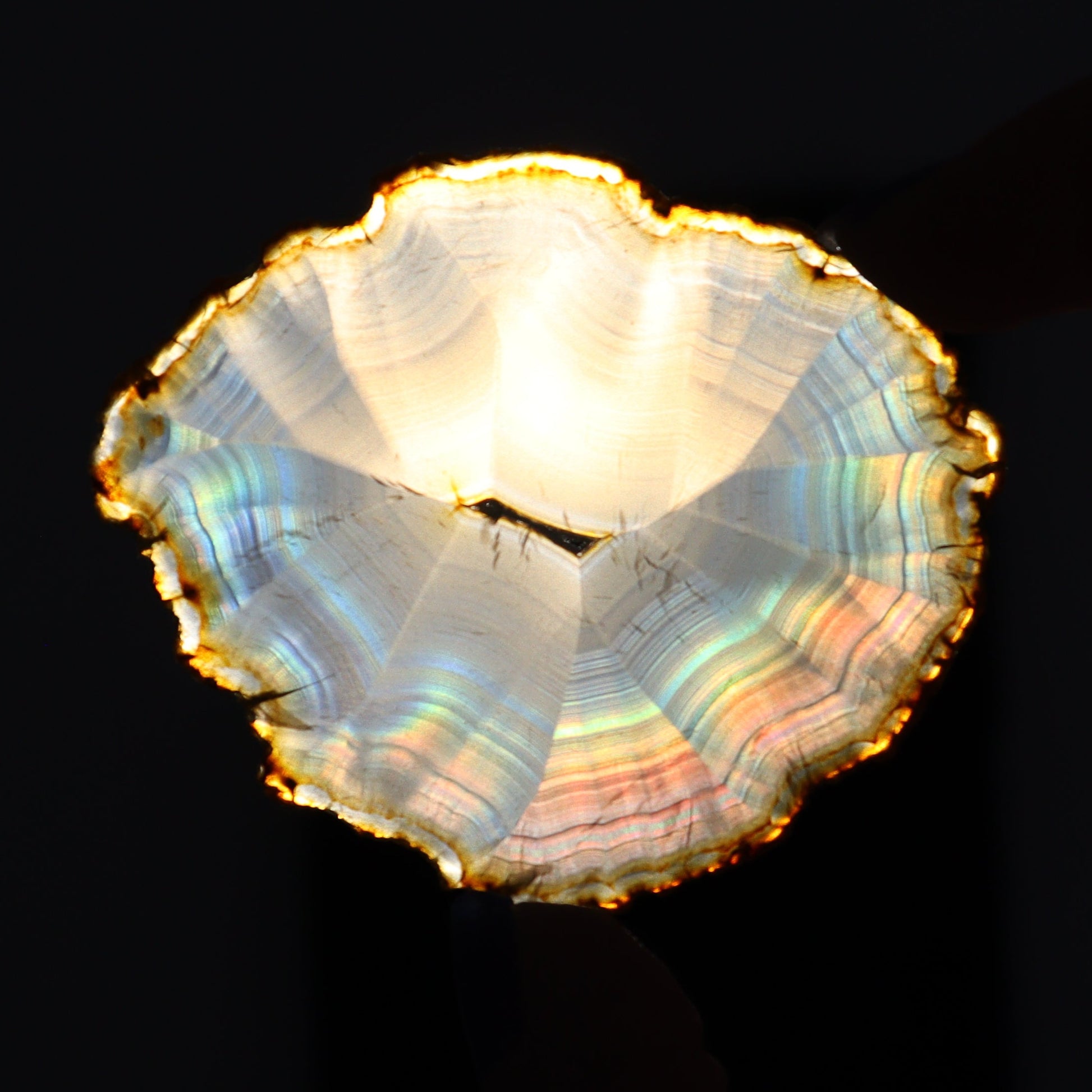 Iris Agate Slices Set of 7 - Expert Wholesale and Supplier of Wholesale Crystals & Bulk Gemstones, ["Agate","Iris Agate","Slices and Slabs"]