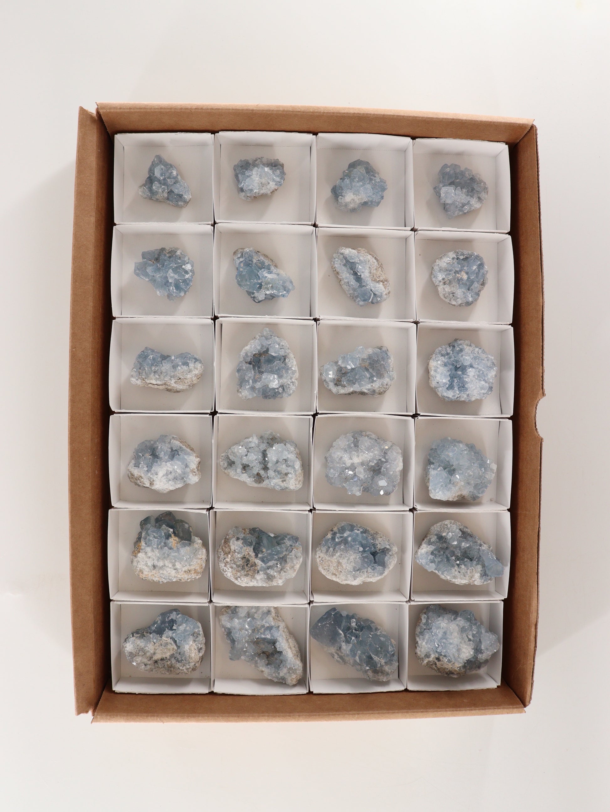 Celestite Clusters Set of 24 - Expert Wholesale and Supplier of Wholesale Crystals & Bulk Gemstones, []