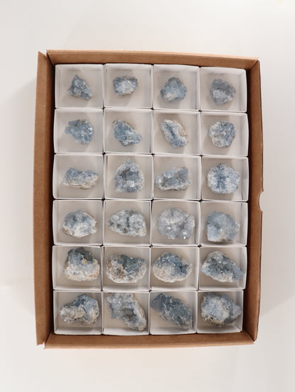Celestite Clusters Set of 24 - Expert Wholesale and Supplier of Wholesale Crystals & Bulk Gemstones, []
