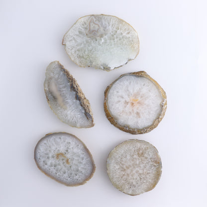 Agate Slices Set of 5 - Expert Wholesale and Supplier of Wholesale Crystals & Bulk Gemstones, ["Agate","Brazil","Slices and Slabs"]