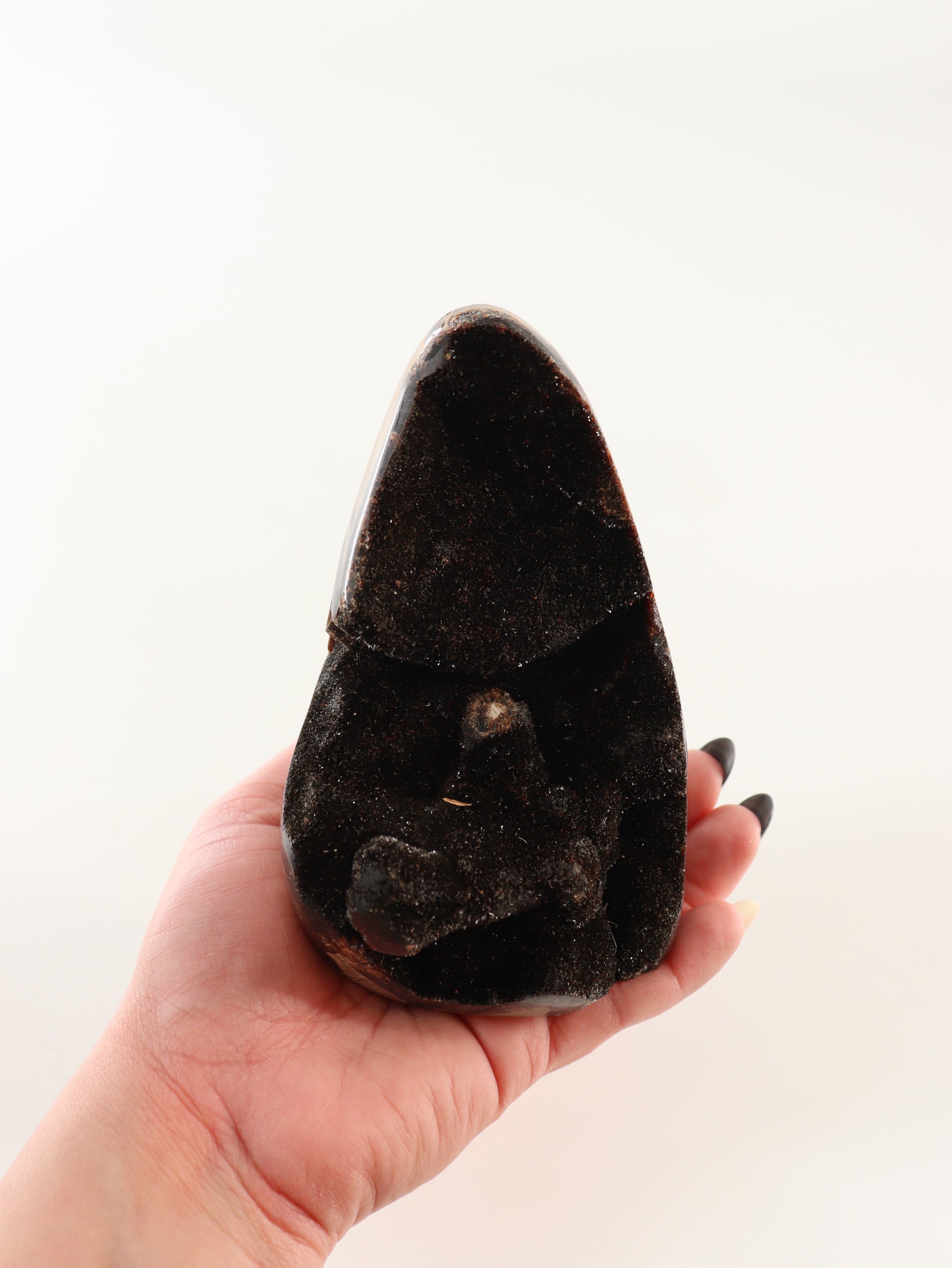Septarian Cut Bases Set of 4 - Expert Wholesale and Supplier of Wholesale Crystals & Bulk Gemstones, []