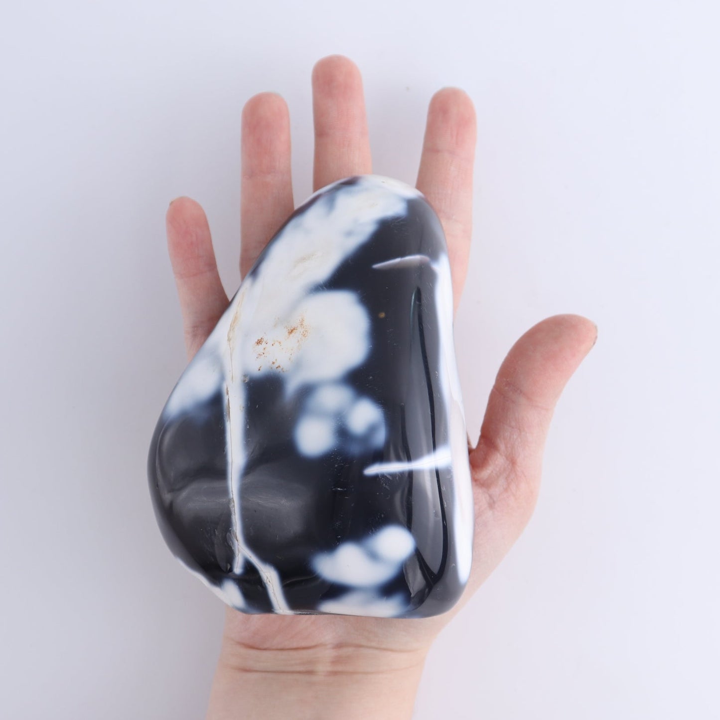 Orca Agate Freeform Set of 4