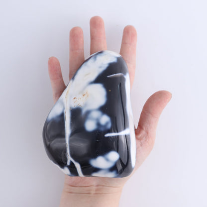 Orca Agate Freeform Set of 4
