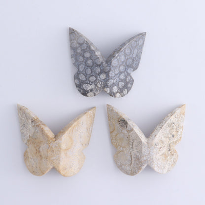 One Fossil Coral Butterfly - Expert Wholesale and Supplier of Wholesale Crystals & Bulk Gemstones, ["Butterflies","Butterfly","fossil coral"]