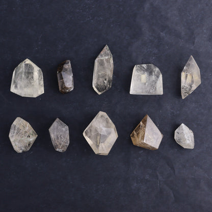 Quartz with Inclusions Feeforms Set of 54