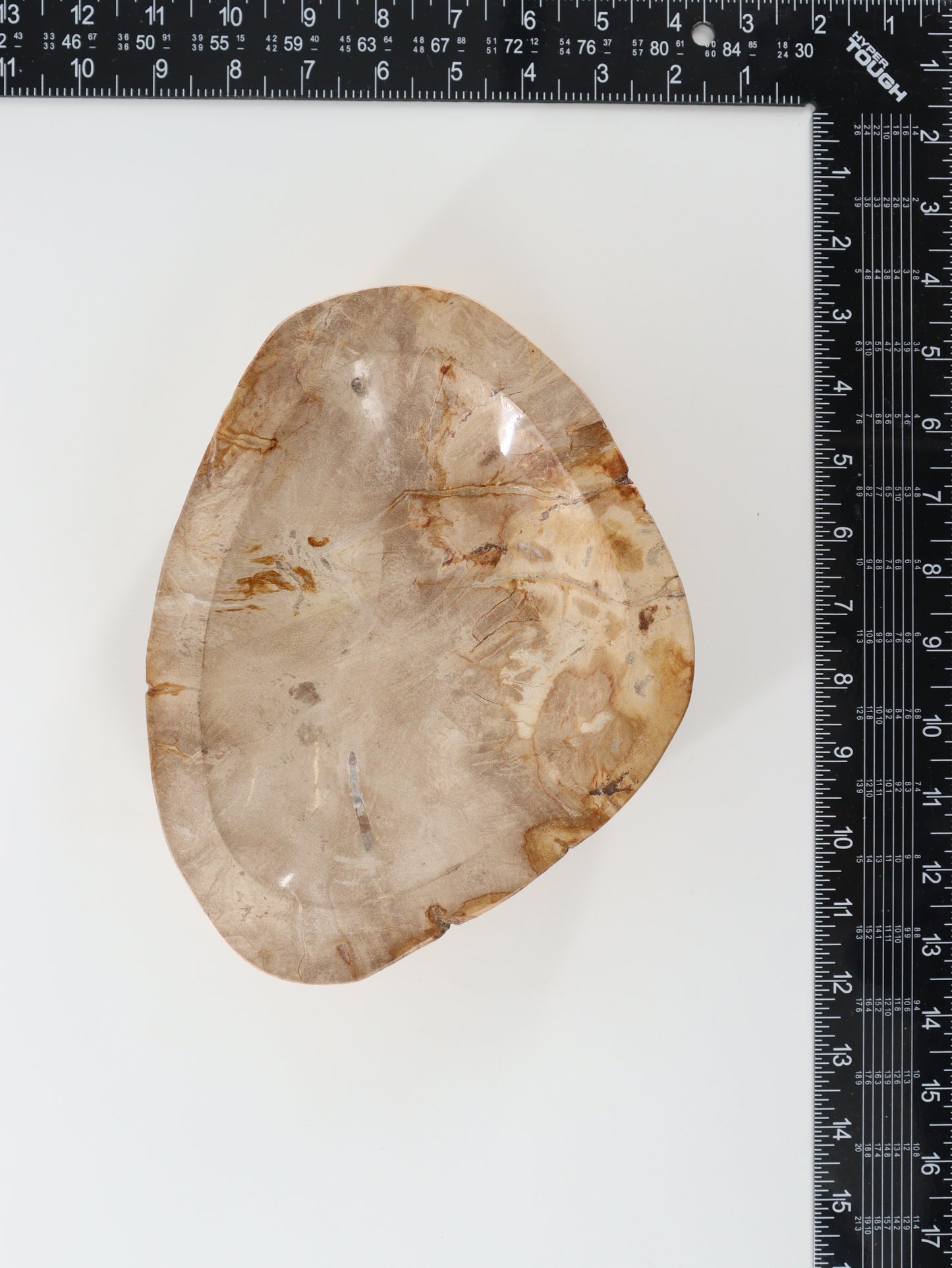 Petrified Wood Bowl - Expert Wholesale and Supplier of Wholesale Crystals & Bulk Gemstones, []