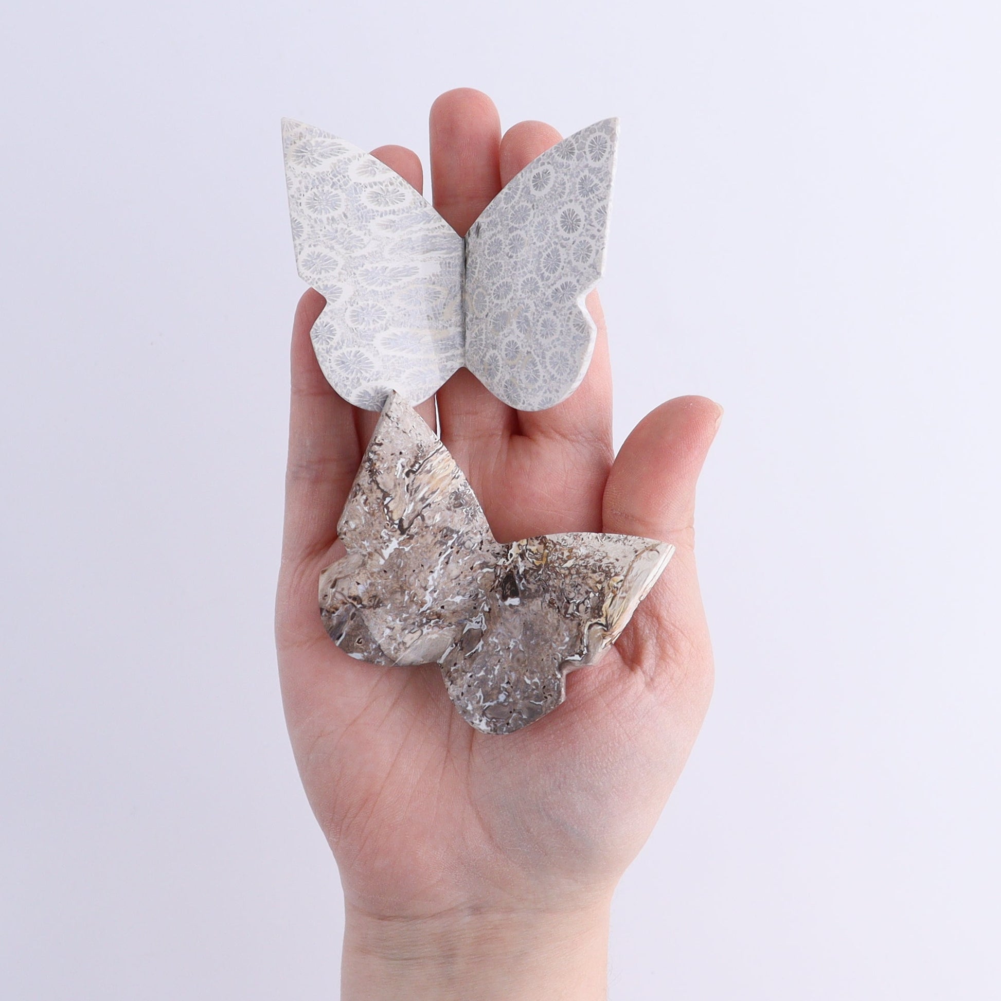 Butterflies Blue Palm Root & Fossil Coral Set of 10 - Expert Wholesale and Supplier of Wholesale Crystals & Bulk Gemstones, ["Butterflies","fossil coral","Palm Root"]
