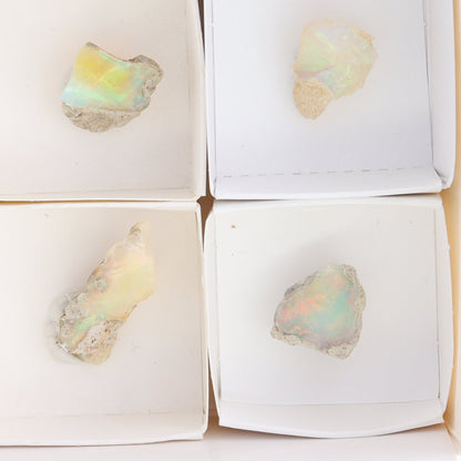 Ethiopian Opal Set of 10 - Expert Wholesale and Supplier of Wholesale Crystals & Bulk Gemstones, ["Ethiopia","ethiopian opal","Opal"]
