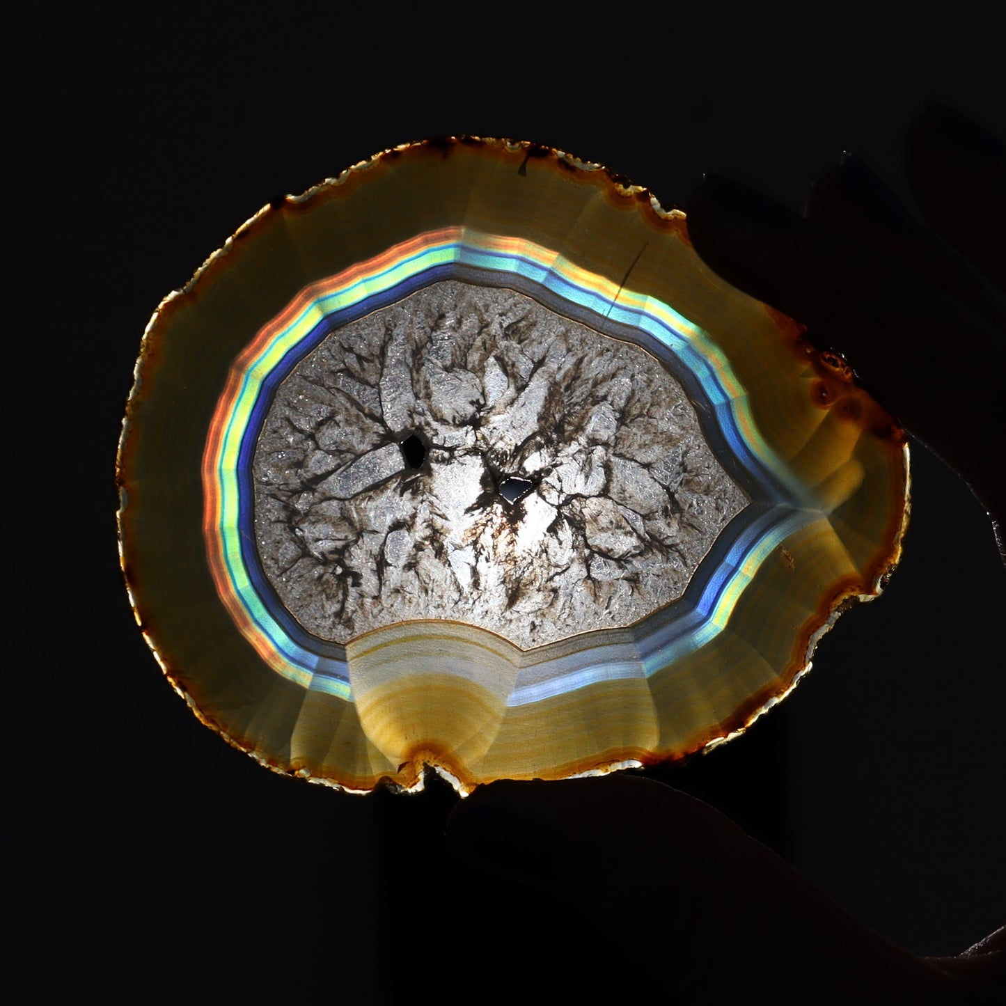 Iris Agate Slices Set of 5 - Expert Wholesale and Supplier of Wholesale Crystals & Bulk Gemstones, ["Agate","Iris Agate","Slices and Slabs"]