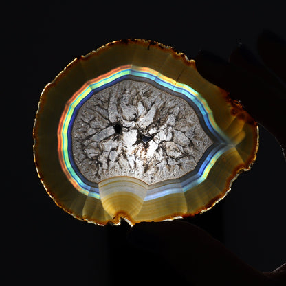 Iris Agate Slices Set of 5 - Expert Wholesale and Supplier of Wholesale Crystals & Bulk Gemstones, ["Agate","Iris Agate","Slices and Slabs"]