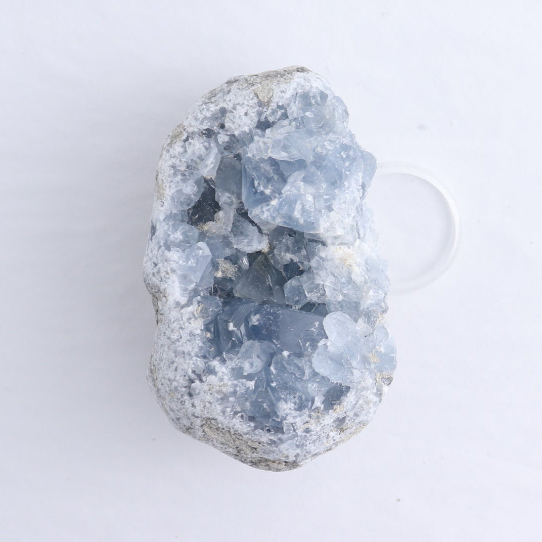 Celestite Clusters Set of 8