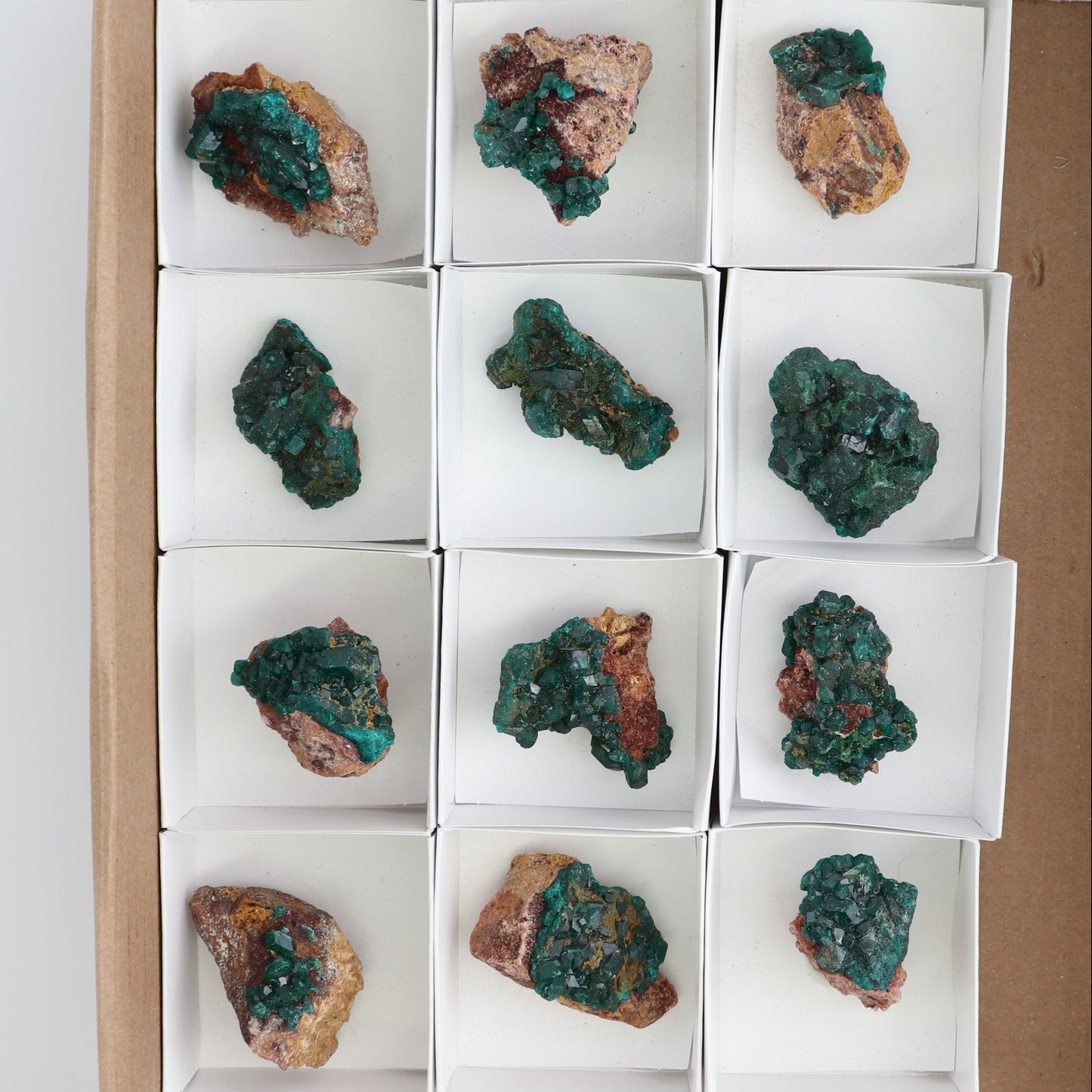 Dioptase Set of 12