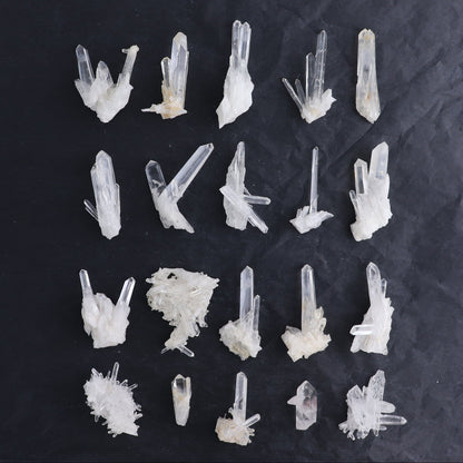 Lemurian Clusters from Columbia Set of 20