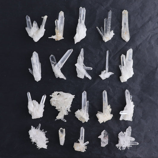 Lemurian Clusters from Columbia Set of 20