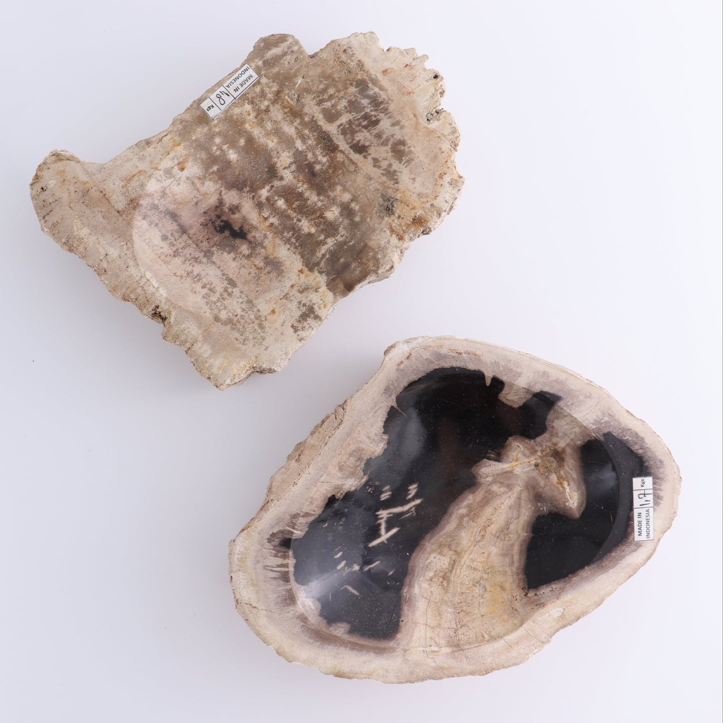 Petrified Wood Bowls Set of 2 - Expert Wholesale and Supplier of Wholesale Crystals & Bulk Gemstones, ["Bowls","Indonesia","Petrified Wood"]