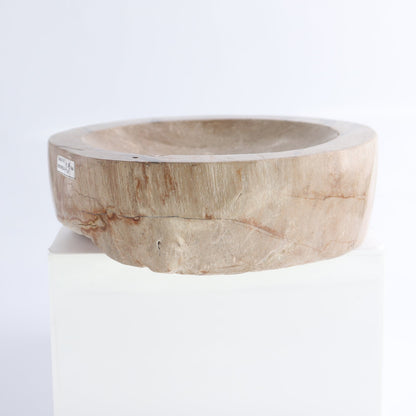 One Petrified Wood Beige Polished Bowl