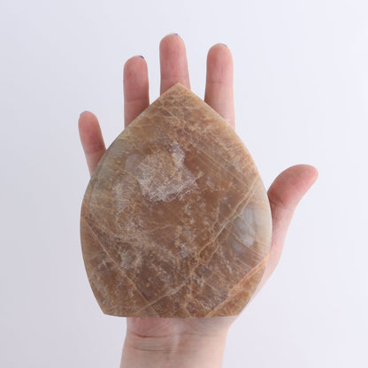 Peach Moonstone Freeform Set of 6 | Mi Esperanza Minerals | Supplier of Crystals and Onyx