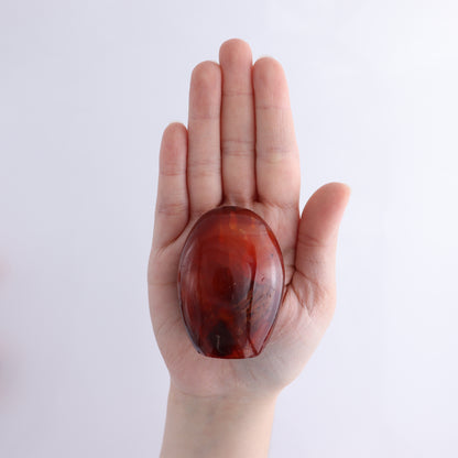 Carnelian Freeform Set of 11 - Expert Wholesale and Supplier of Wholesale Crystals & Bulk Gemstones, ["carnelian","Freeforms","Madagascar"]
