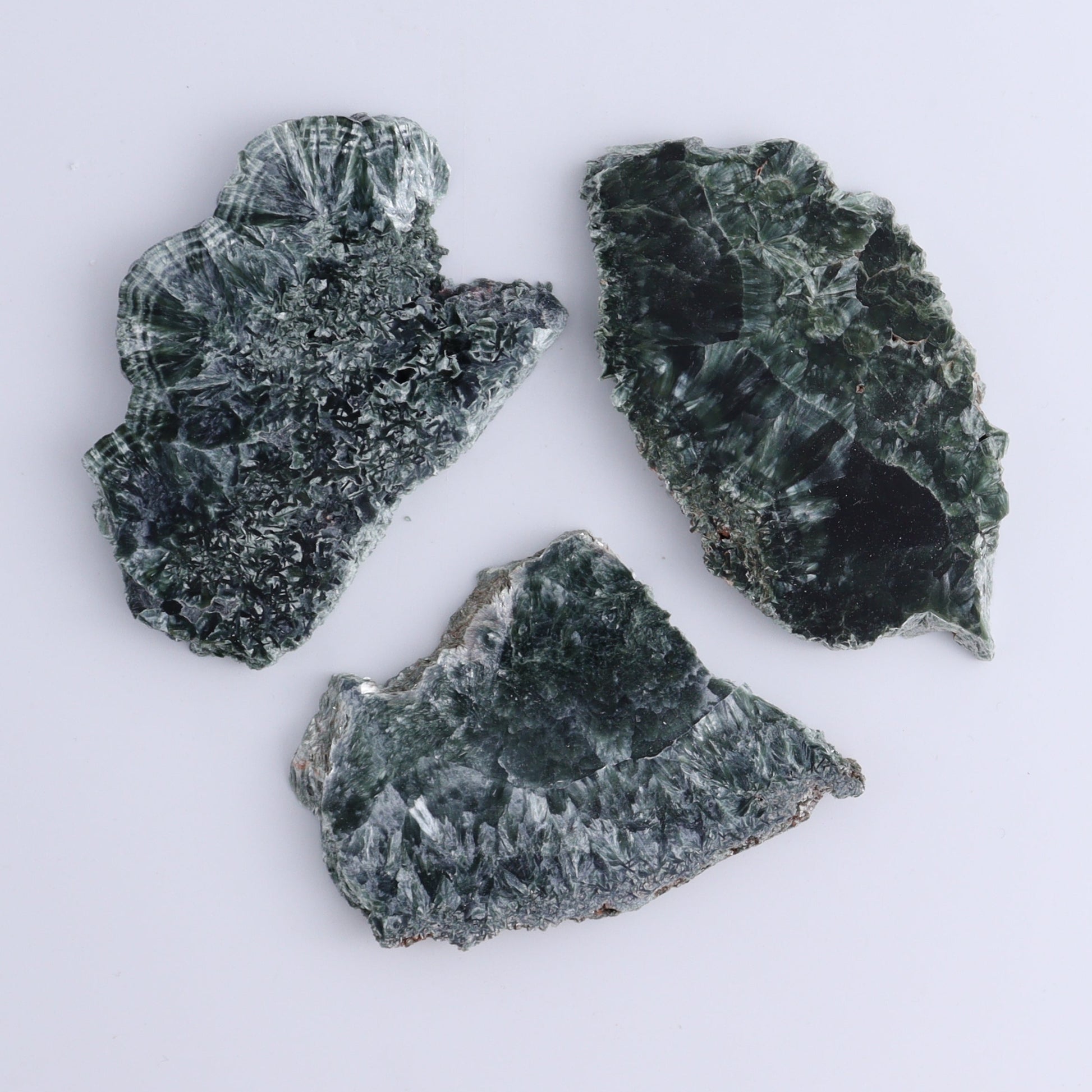 Seraphinite Slices Set of 12 - Expert Wholesale and Supplier of Wholesale Crystals & Bulk Gemstones, ["Seraphinite","Slices and Slabs"]