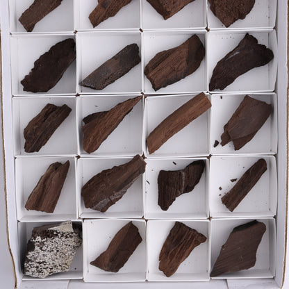 Permineralized Wood Flat of 24 - Expert Wholesale and Supplier of Wholesale Crystals & Bulk Gemstones, ["Flats","Germany","Permineralized Wood"]