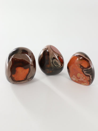Polychrome Jasper Freeforms Set of 5 - Expert Wholesale and Supplier of Wholesale Crystals & Bulk Gemstones, []