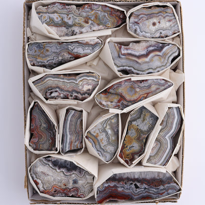 Crazy Lace Agate Flat of 13 - Expert Wholesale and Supplier of Wholesale Crystals & Bulk Gemstones, ["Crazy Lace Agate","Mexico"]