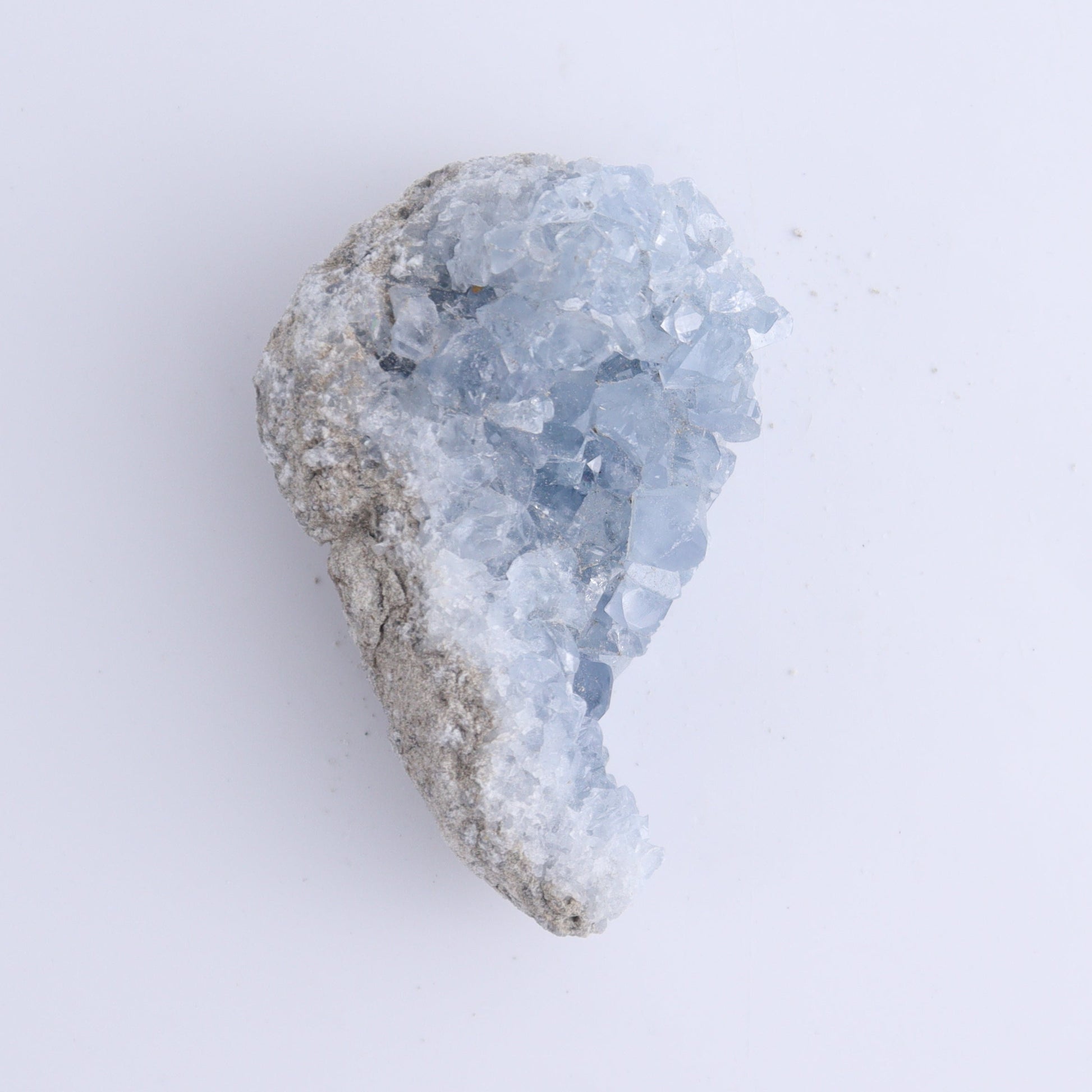 Celestite Clusters Set of 9 - Expert Wholesale and Supplier of Wholesale Crystals & Bulk Gemstones, ["Celestite","Freeform"]