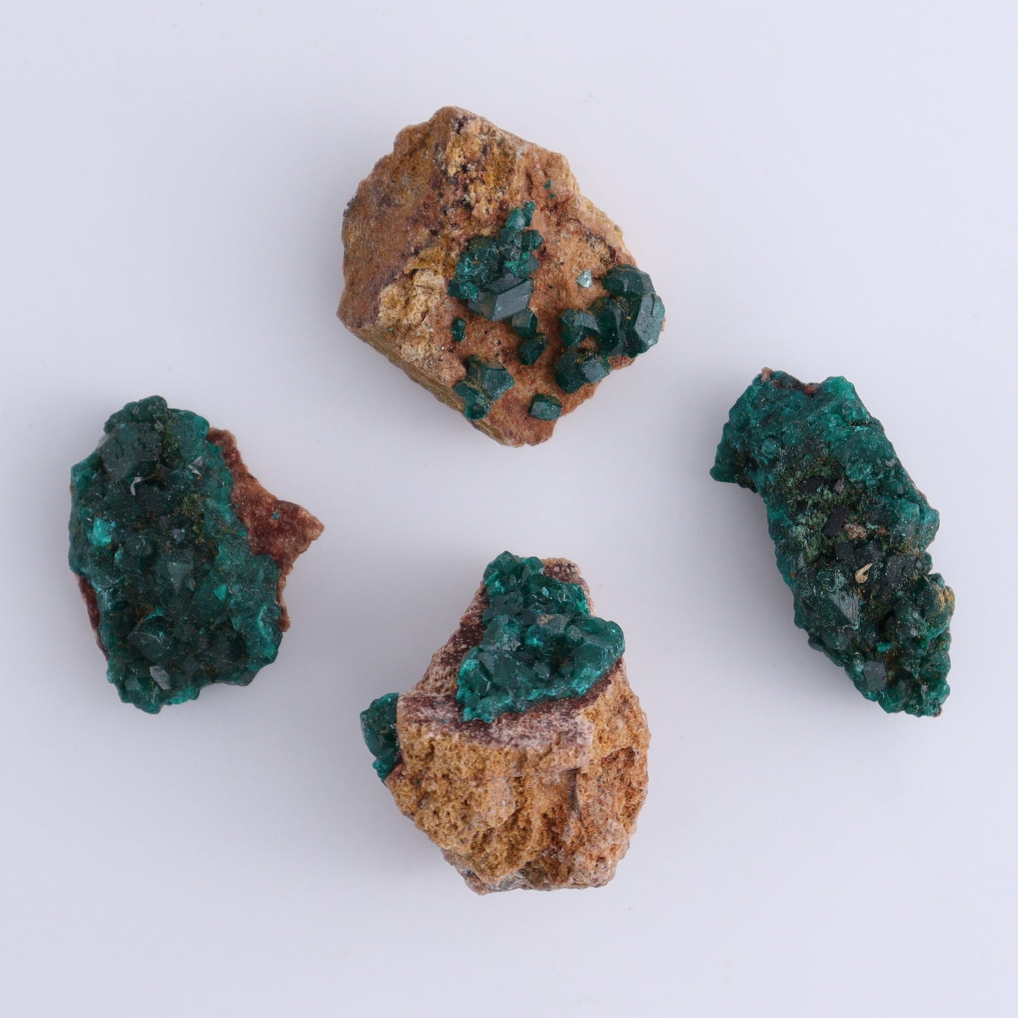 Dioptase Set of 12 - Expert Wholesale and Supplier of Wholesale Crystals & Bulk Gemstones, ["dioptase","Freeform","Freeforms"]