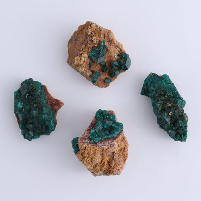Dioptase Set of 12 - Expert Wholesale and Supplier of Wholesale Crystals & Bulk Gemstones, ["dioptase","Freeform","Freeforms"]