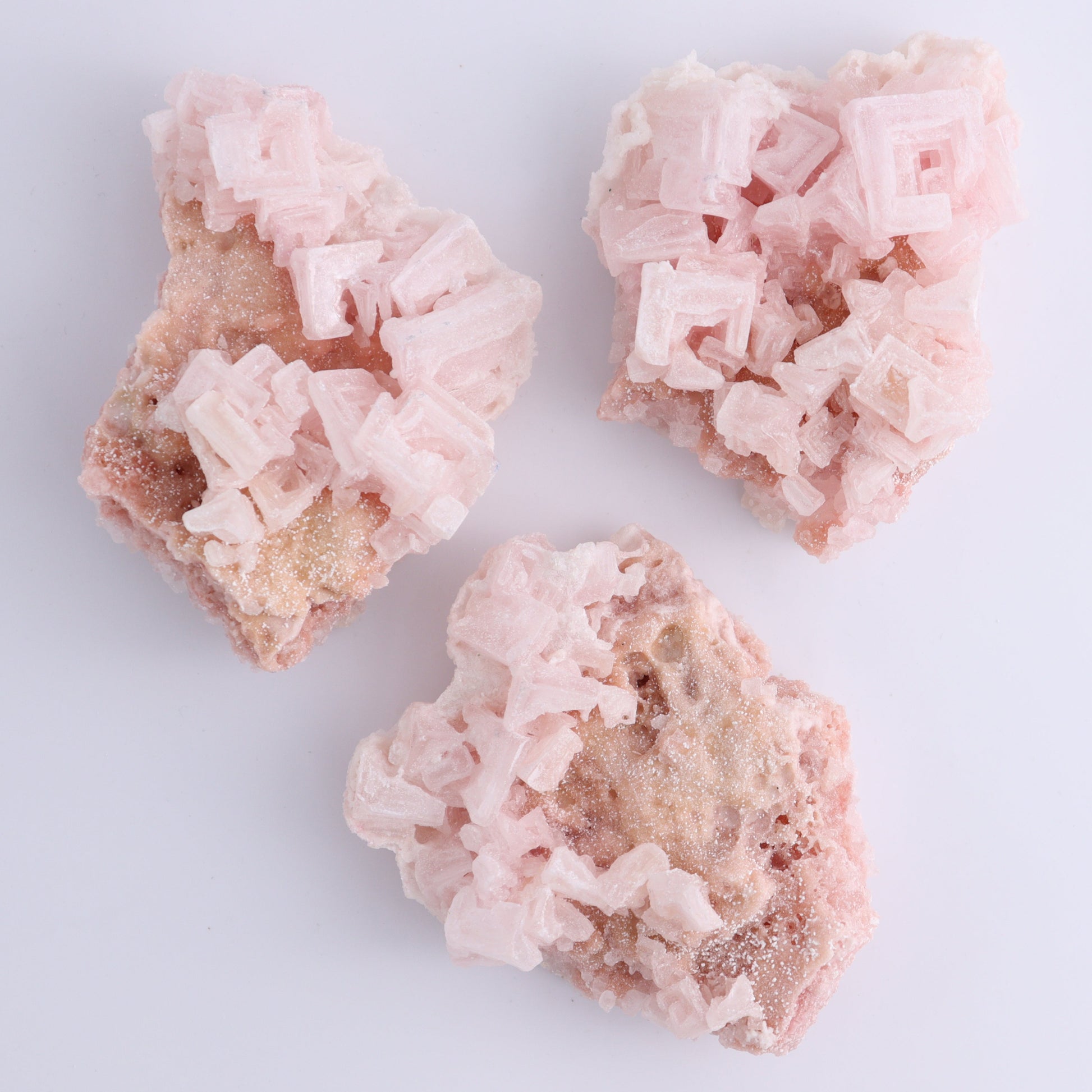 Searles Lake Halite Flat of 6 - Expert Wholesale and Supplier of Wholesale Crystals & Bulk Gemstones, ["Flats","Halite","United States"]