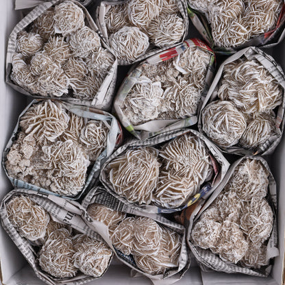 Desert Rose Set of 13 - Expert Wholesale and Supplier of Wholesale Crystals & Bulk Gemstones, ["Desert Rose","Freeforms","Morocco"]