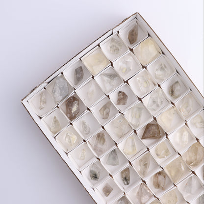 Quartz with Inclusions Feeforms Set of 54
