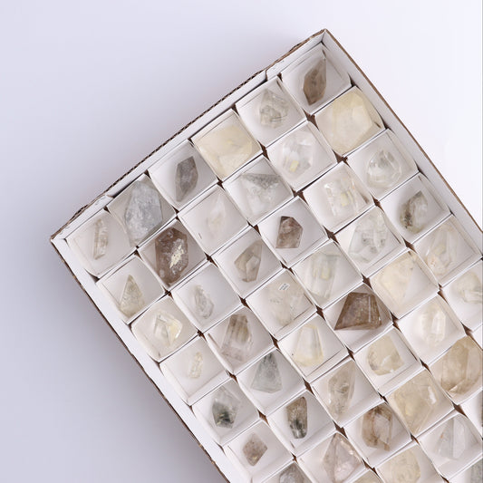 Quartz with Inclusions Feeforms Set of 54